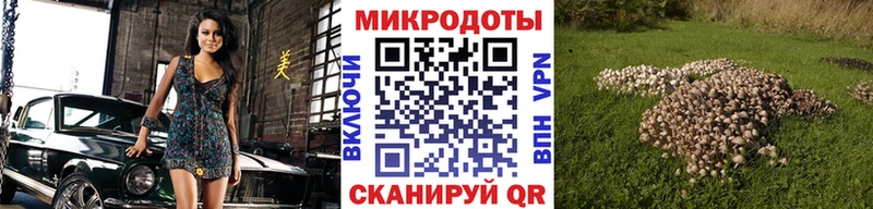 как найти наркотики  Феодосия  Галлюциногенные грибы MAGIC MUSHROOMS 
